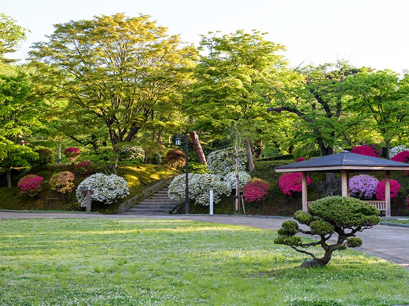 千秋公園の写真